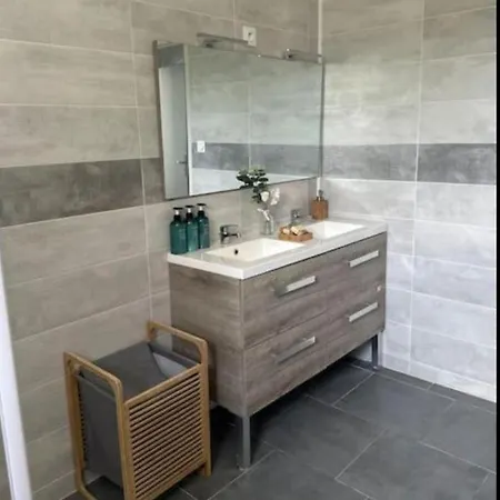 La Maison Jumelle Elm Holiday home Tonneins